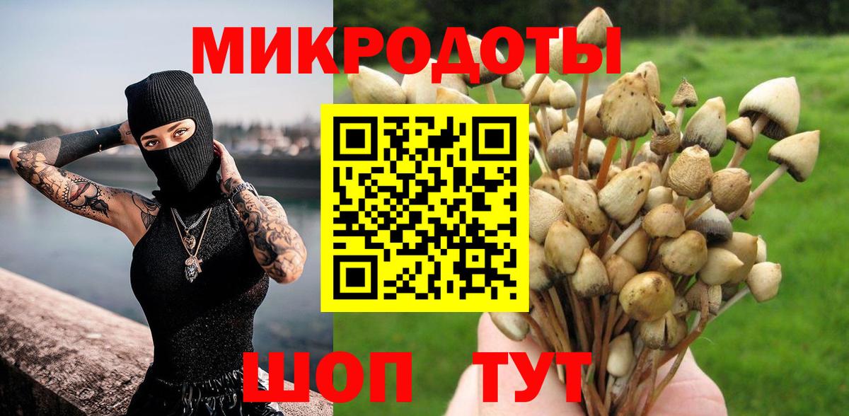 Псилоцибиновые грибы мухоморы  Вход с VPN  Брянск  Псилоцибиновые грибы мухоморы 